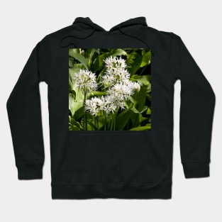 Wild garlic Hoodie